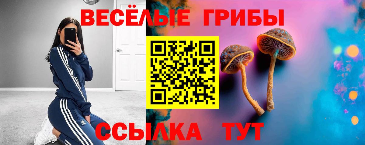 Галлюциногенные грибы MAGIC MUSHROOMS  Галлюциногенные грибы мицелий  Сорочинск  Вход с VPN 