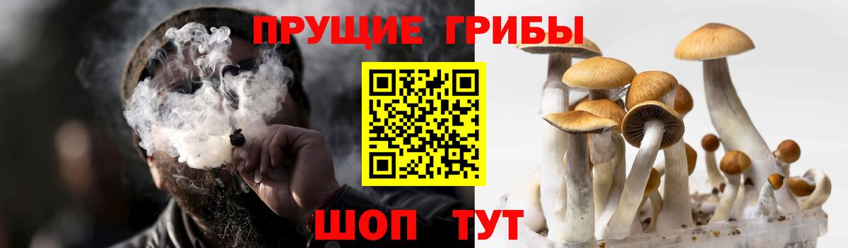 Псилоцибиновые грибы прущие грибы Сорочинск